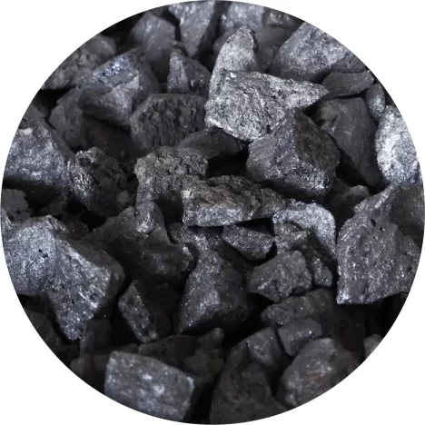 Silicio Edit@2x-100 (1)